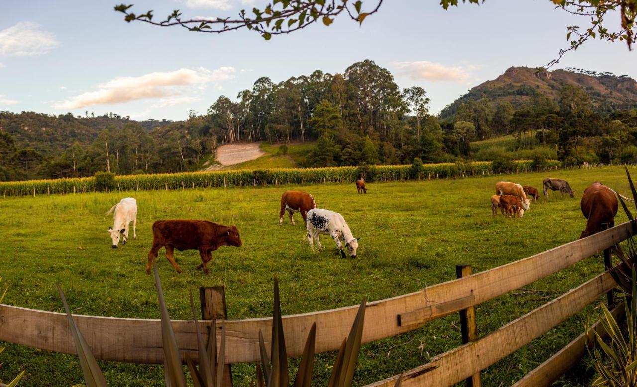 Hospedagem Rural Recanto Do Riacho Urubici Exterior foto